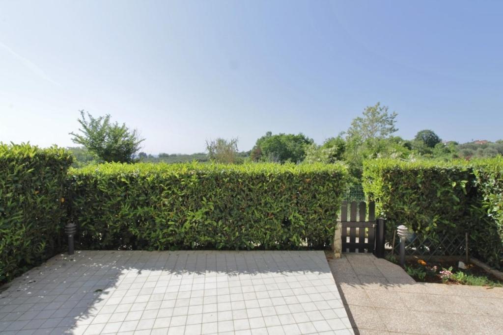 Ferienwohnung Biljana Savudrija Exterior foto